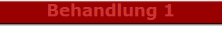 Behandlung 1