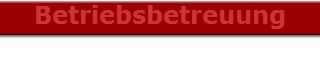 Betriebsbetreuung
