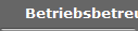 Betriebsbetreuung