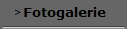 Fotogalerie