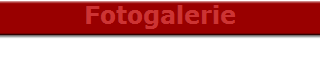 Fotogalerie